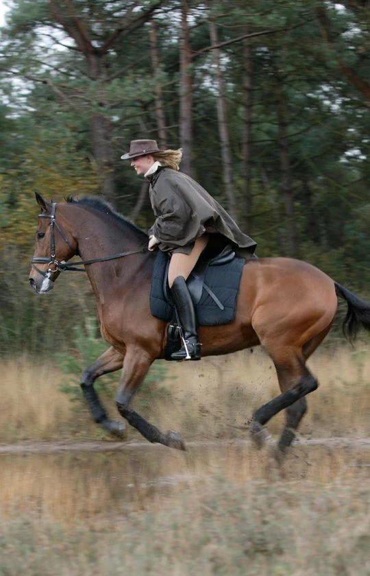 Beste Verkoop π MGO Leisure Wear Wax Regenponcho Unisex - Bruin - One Size β 3 Beste Verkoop π MGO Leisure Wear Wax Regenponcho Unisex - Bruin - One Size β - Afbeelding 2