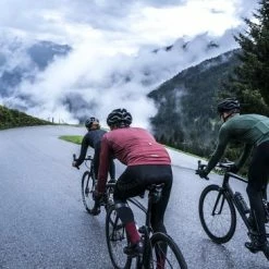 Goedkoop 🛒 Rogelli Collant Focus Zwart Zwart - Maat 3XL 🛒 28 Goedkoop 🛒 Rogelli Collant Focus Zwart Zwart - Maat 3XL 🛒 -MGO Leisure Wear winkel 550x366 244