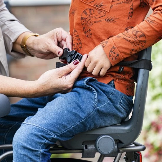 Beste recensies van 🎁 Qibbel 6+ Junior Fietsstoeltje Achter - Zwart Met Bruin Kussentje 🎉 8 Beste recensies van 🎁 Qibbel 6+ Junior Fietsstoeltje Achter - Zwart Met Bruin Kussentje 🎉 - Afbeelding 6